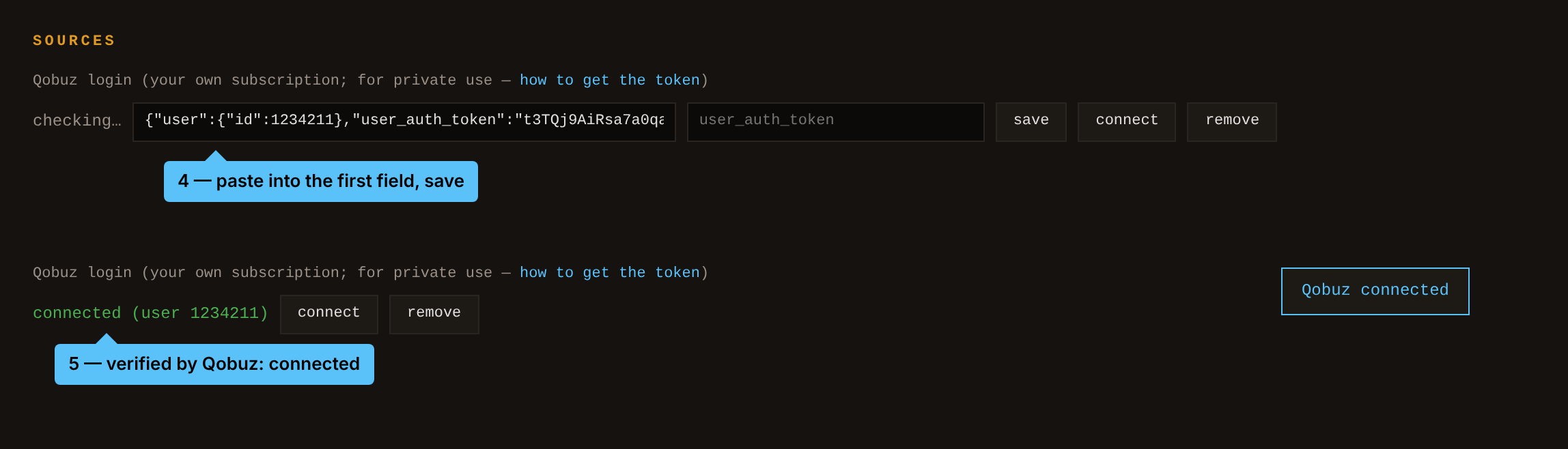 Settings: paste into the first field, save, status connected